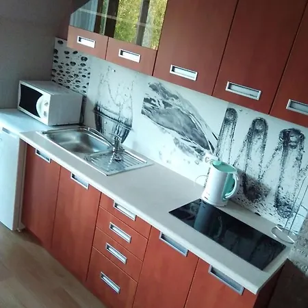 Panorama Koscielisko Apartmán